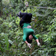 Illustration for article titled I Flew Through the Jungle Upside Down to Prove That Black People Do Outdoor Thingsem/em